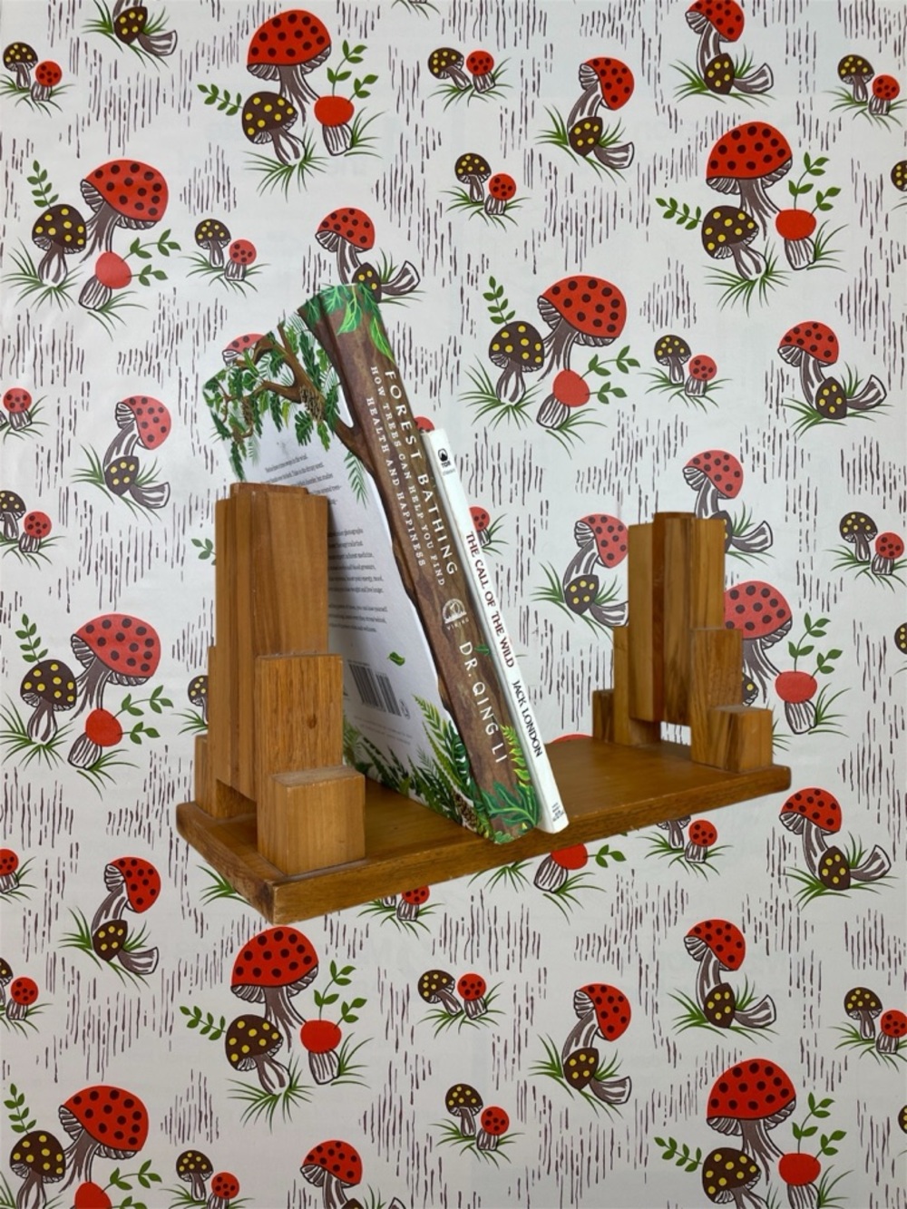 Vintage Bookshelf Bookends Shelf